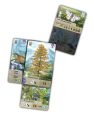 rebel-dodatek-lesne-rozdanie-alpy-asset3.png