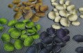 0tit_3.113509.600x0.jpg